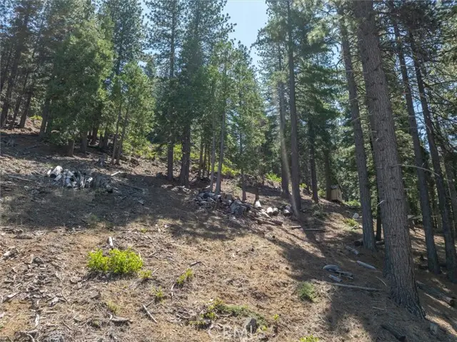 7343 Yosemite Park Way, Yosemite National Park, CA 95389 - #1
