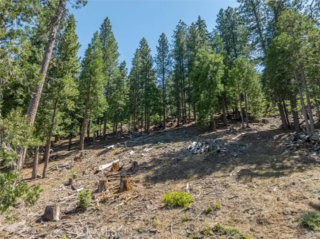 7343 Yosemite Park Way, Yosemite National Park, CA 95389 - #2