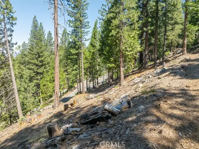 7343 Yosemite Park Way, Yosemite National Park, CA 95389 - #3