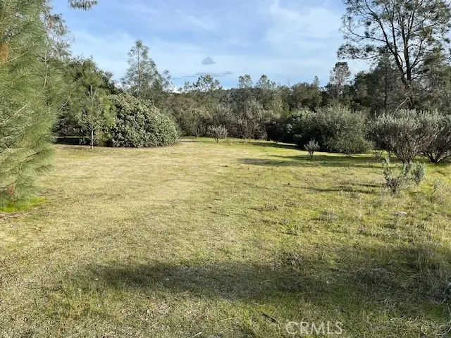 1713 Longhollow Court, Coarsegold, CA 93614 - #2