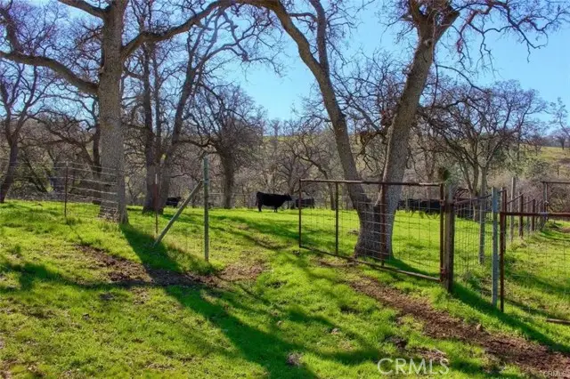 160 AC Cotton Creek Rd, Mariposa, CA 95338 - #3