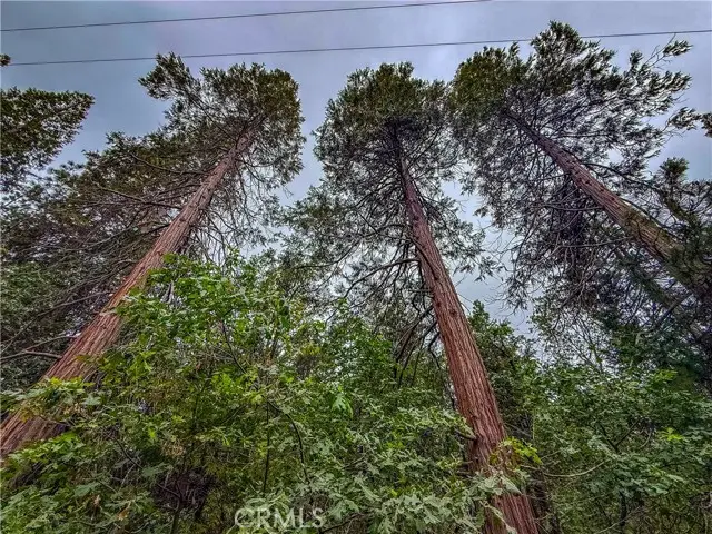 7083 Hites Cove, Mariposa, CA 95338 - #3