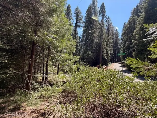 7631 Forest, Fish Camp, CA 93623