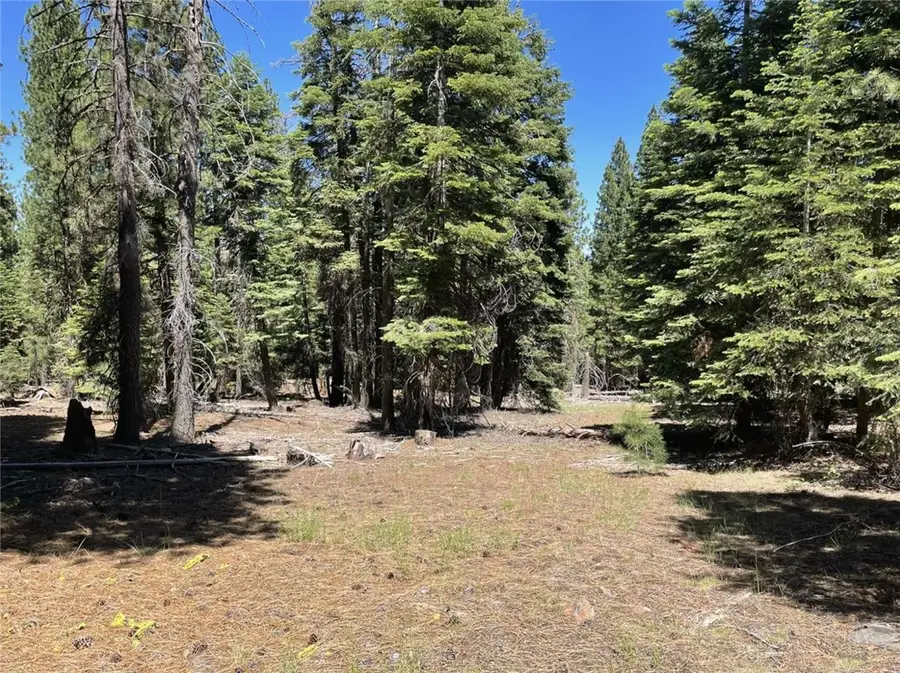 0 Range Road, Alturas, CA 96101 - #3