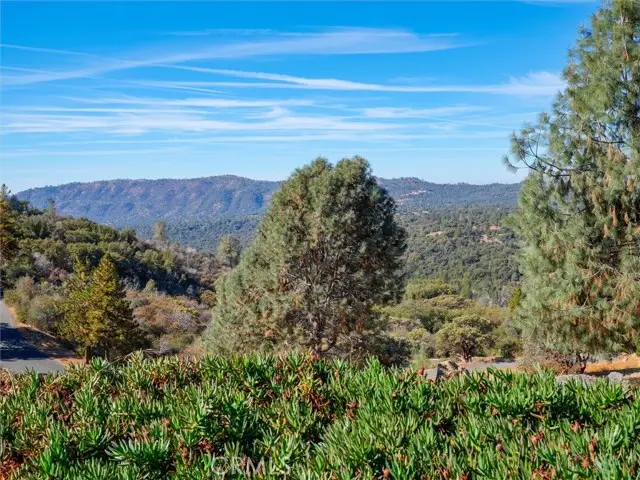 45191 Sno Flake, Ahwahnee, CA 93601 - #2