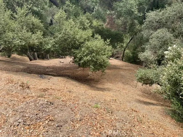 0 Graceland Way, Glendale, CA 91206 - #1
