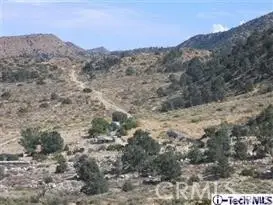 300 Z12 Street, Llano, CA 93544