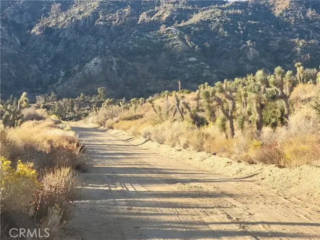 300 Z12 Street, Llano, CA 93544 - #2