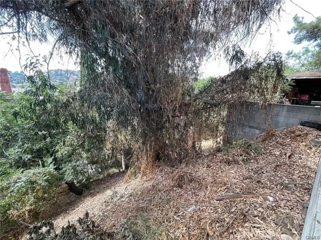 3790 GRIFFIN, Los Angeles, CA 90031 - #2