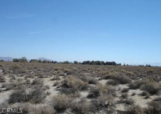 0 Bear Valley / Duncan Road, Phelan, CA 92371 - #1