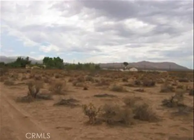 25982 Bellflower Road, Apple Valley, CA 92308 - #1