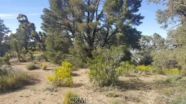 0 Scenic Creek Drive, Pinon Hills, CA 92372