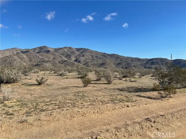 26425 Lancelet Street, Apple Valley, CA 92308 - #1