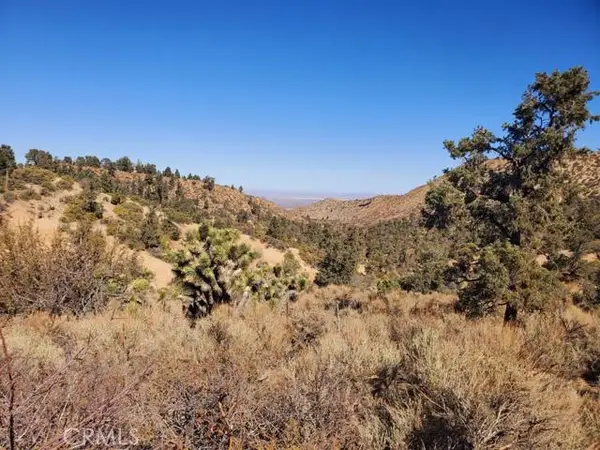 0 Old Valley Springs Road, Pinon Hills, CA 92372
