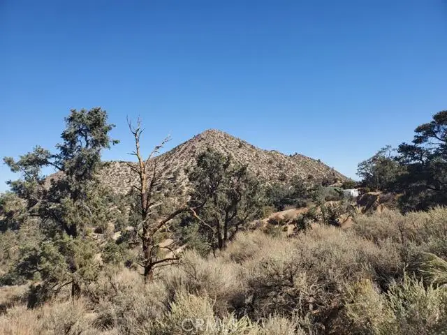 0 Old Valley Springs Road, Pinon Hills, CA 92372 - #2