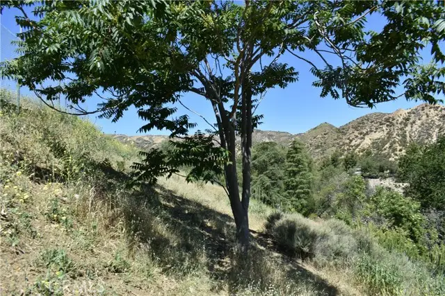 0 off off San Martinez Rd, Shoshone, CA 92384 - #3