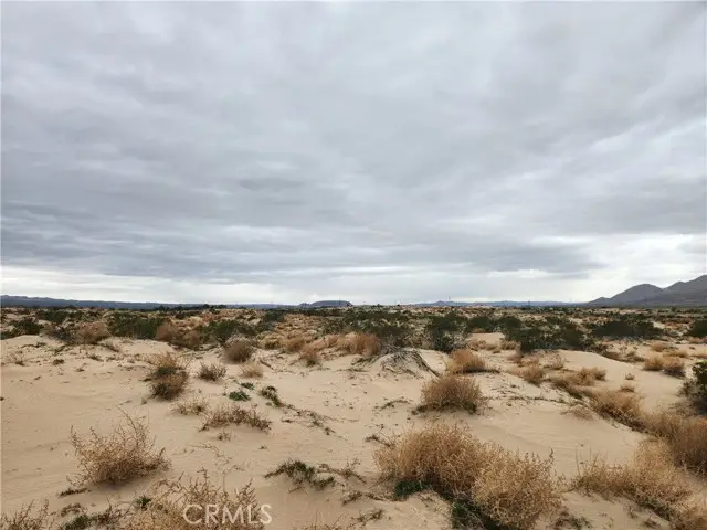 40 on Yearling Road, Lucerne Valley, CA 92356 - #2