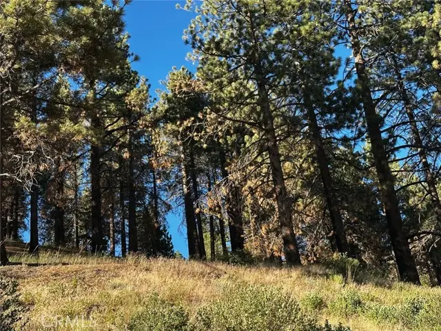 1 Conway Dr Drive, Running Springs, CA 92382 - #1