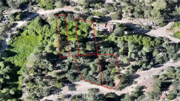 29629 Little Bear Creek Road, Cedar Glen, CA 92321