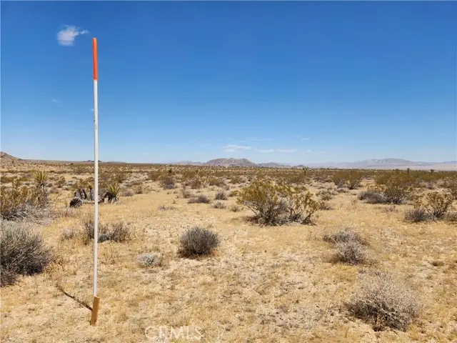 15 Bowman Trail, Joshua Tree, CA 92252 - #3