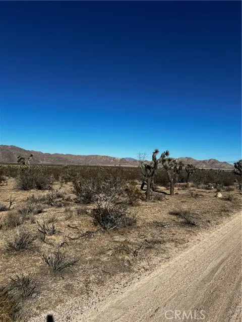 0 Canyon View Road, Lucerne Valley, CA 92356 - #2