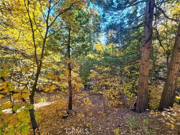 0 Brentwood Drive, Lake Arrowhead, CA 92352
