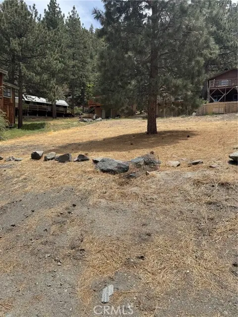 999 Buckthorn Road, Wrightwood, CA 92397