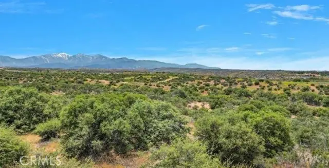 0 Silver Rock, Pinon Hills, CA 92372 - #1