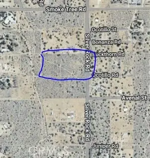 0 Silver Rock, Pinon Hills, CA 92372 - #3
