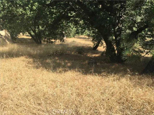 30481 Live Oak, Running Springs, CA 92382 - #1