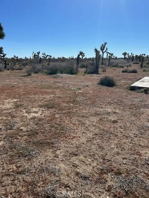 0 Schultz, Phelan, CA 92371 - #2