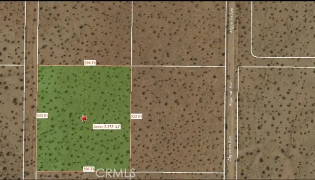 0 Near Algoman, Lucerne Valley, CA 92356 - #1