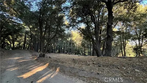 722 Mojave River Road, Cedarpines Park, CA 92322