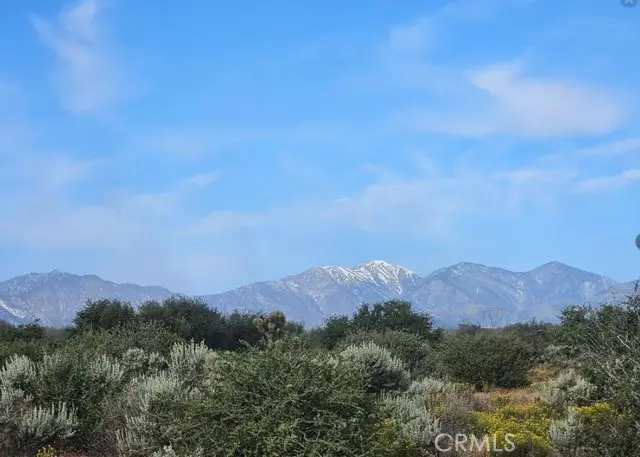0 Cactus, Hesperia, CA 92344 - #2