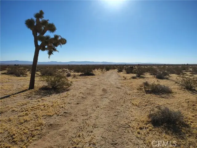 408 Stable, Landers, CA 92285 - #3