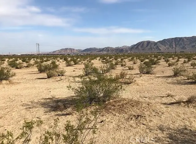 35251 Athletic Field, Yermo, CA 92398 - #3