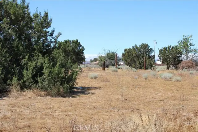 13464 Fir, Oak Hills, CA 92344 - #3