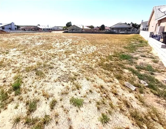 26338 Driftwood Lane, Helendale, CA 92342 - #2