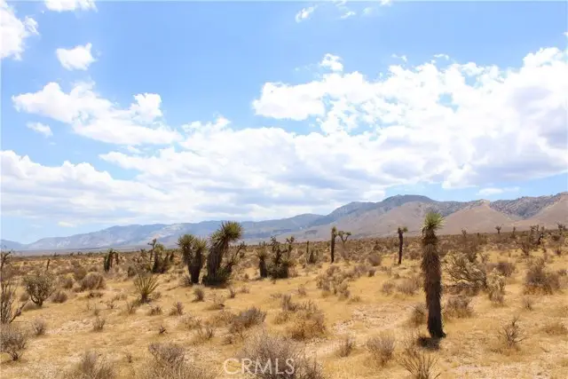 0 Canyon View Road, Apple Valley, CA 92308 - #2