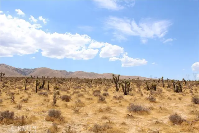 0 Canyon View Road, Apple Valley, CA 92308 - #3