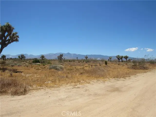 0 Goss Road, Phelan, CA 92371 - #2