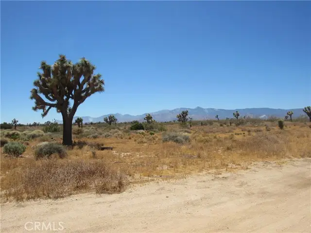 0 Goss Road, Phelan, CA 92371 - #3