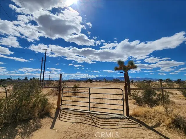 11972 Barbet Road, Phelan, CA 92371 - #1