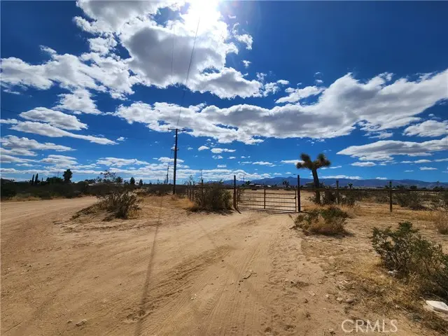 11972 Barbet Road, Phelan, CA 92371 - #3