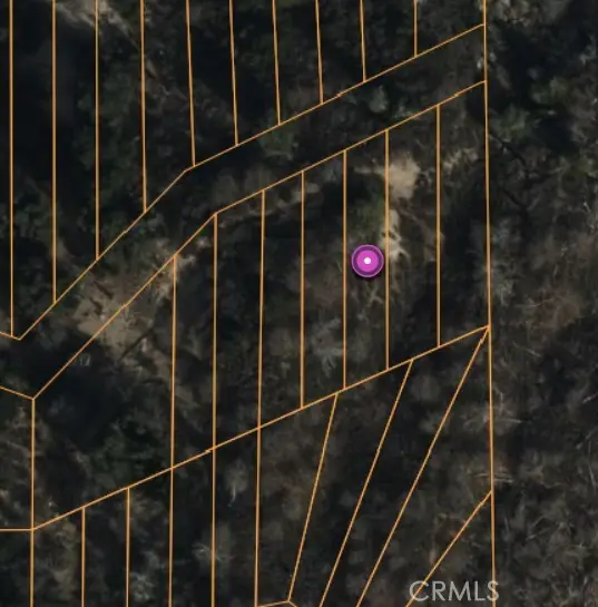 0 Lignum Vitae Drive, Cedar Glen, CA 92321