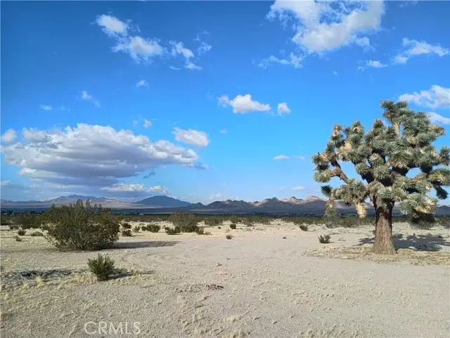 9823 Joshua, Lucerne Valley, CA 92356 - #1