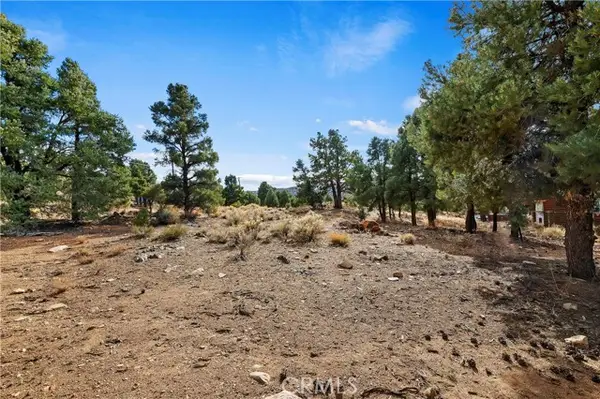 0 Sunny Slope Lane, Big Bear City, CA 92314