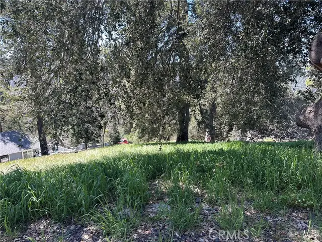 0 Elliot Road, Cedarpines Park, CA 92322 - #3