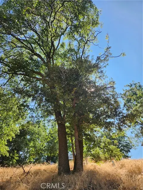 1563 Rock Ridge Drive, Lake Arrowhead, CA 92352 - #3