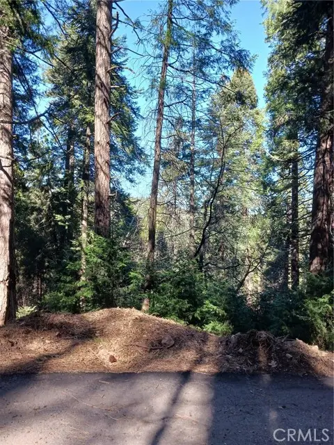 35 Spring Drive, Cedarpines Park, CA 92322 - #1